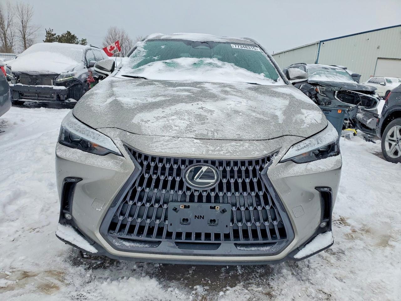 2023 LEXUS NX photo 9