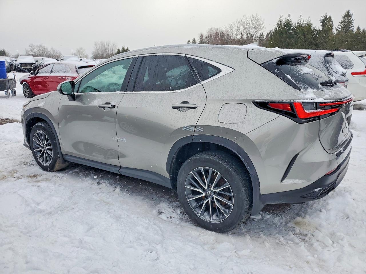 2023 LEXUS NX photo 3