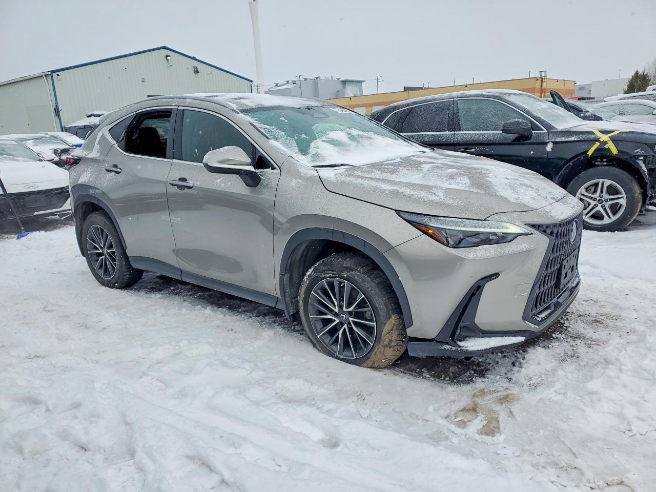 2023 LEXUS NX photo 7