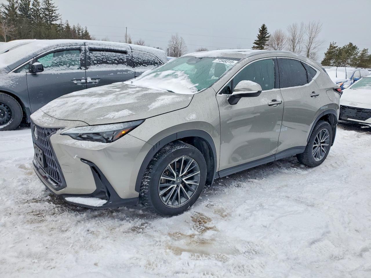 2023 LEXUS NX