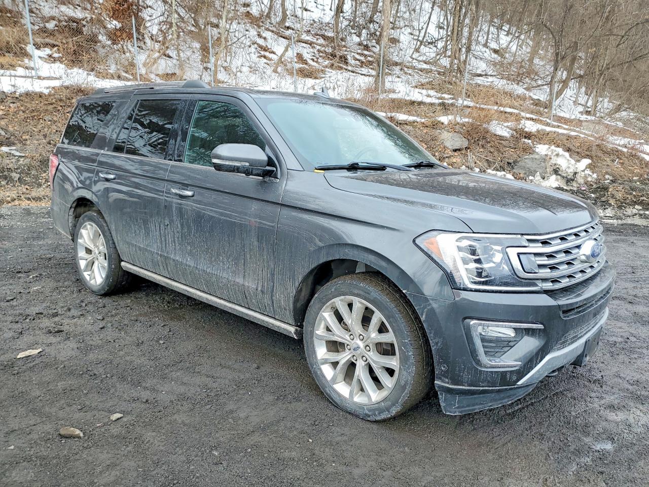 2019 FORD EXPEDITION LIMITED photo 4