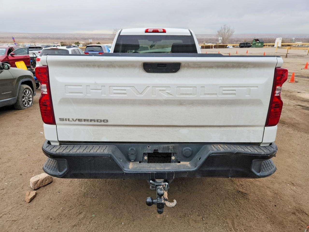 2020 CHEVROLET SILVERADO K1500 photo 6