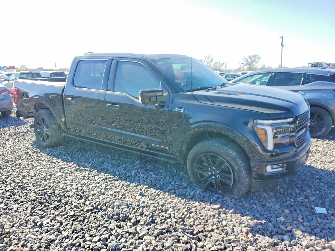 2025 FORD F150 PLATINUM photo 4