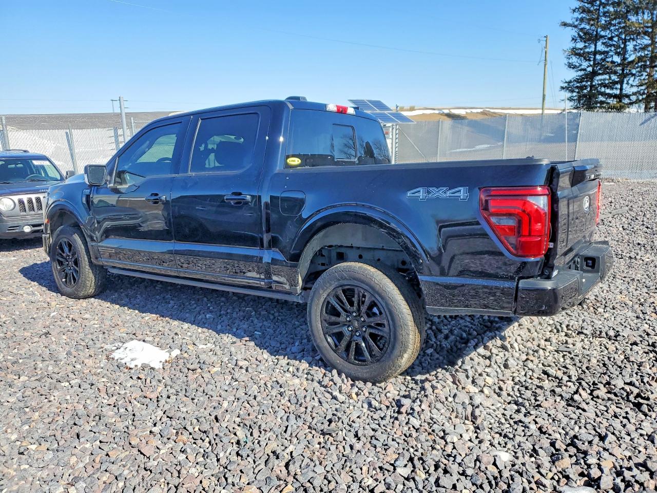 2025 FORD F150 PLATINUM photo 2