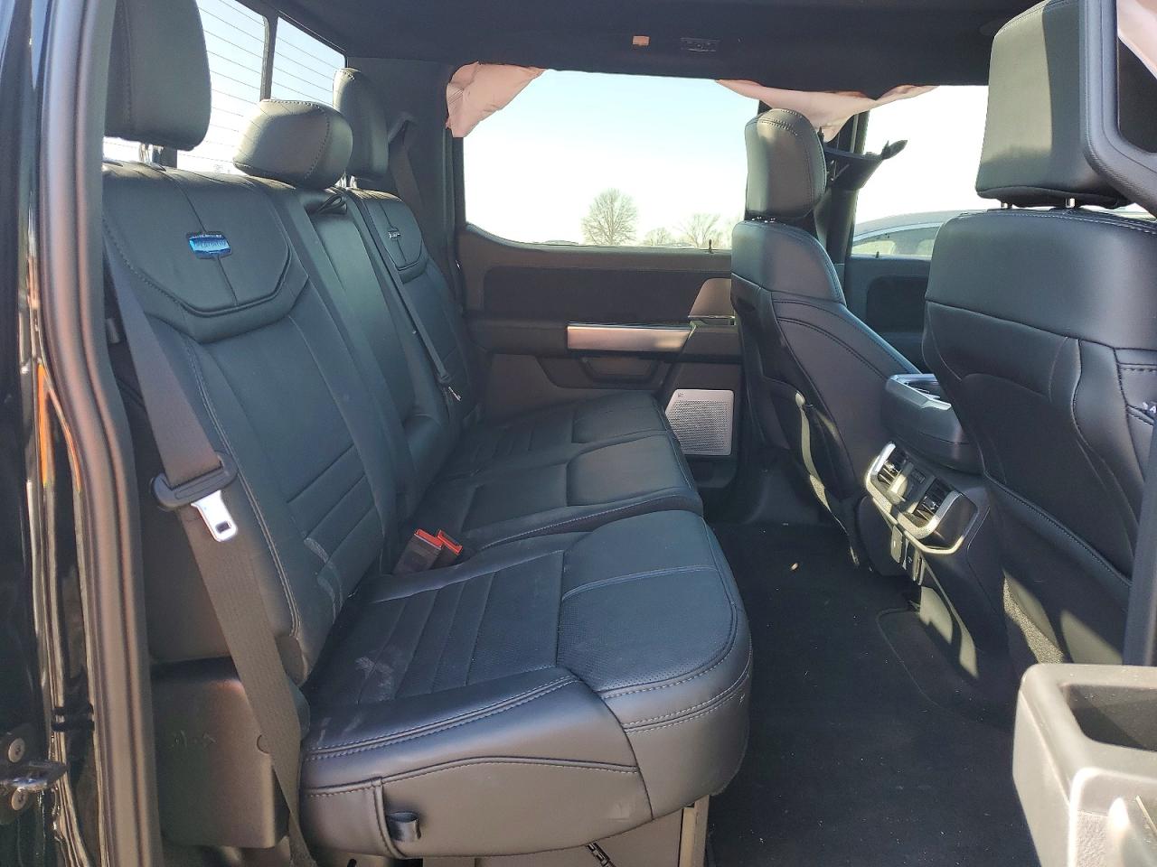 2025 FORD F150 PLATINUM photo 10