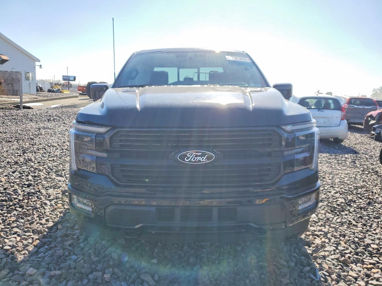 2025 FORD F150 PLATINUM photo 5