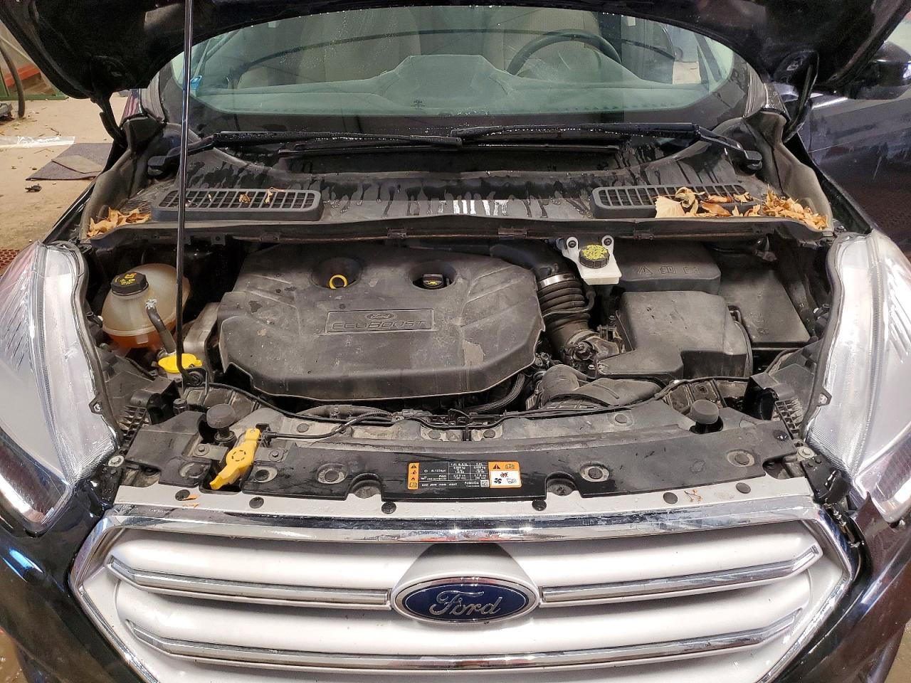 2019 FORD ESCAPE SE photo 23