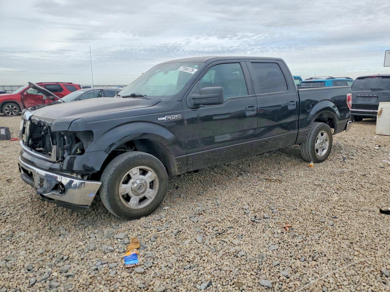2013 FORD F150