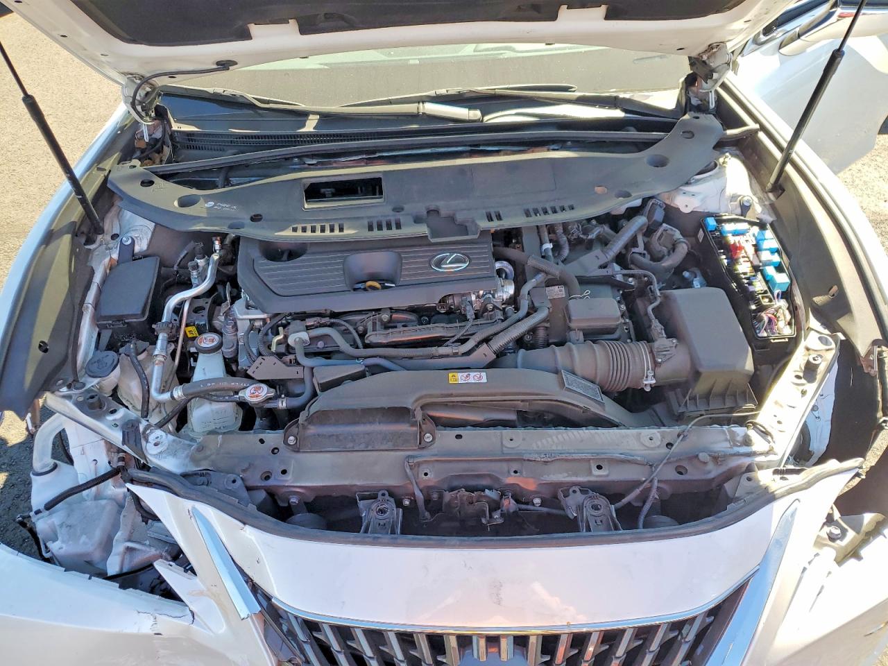 2024 LEXUS ES 300H BASE photo 21