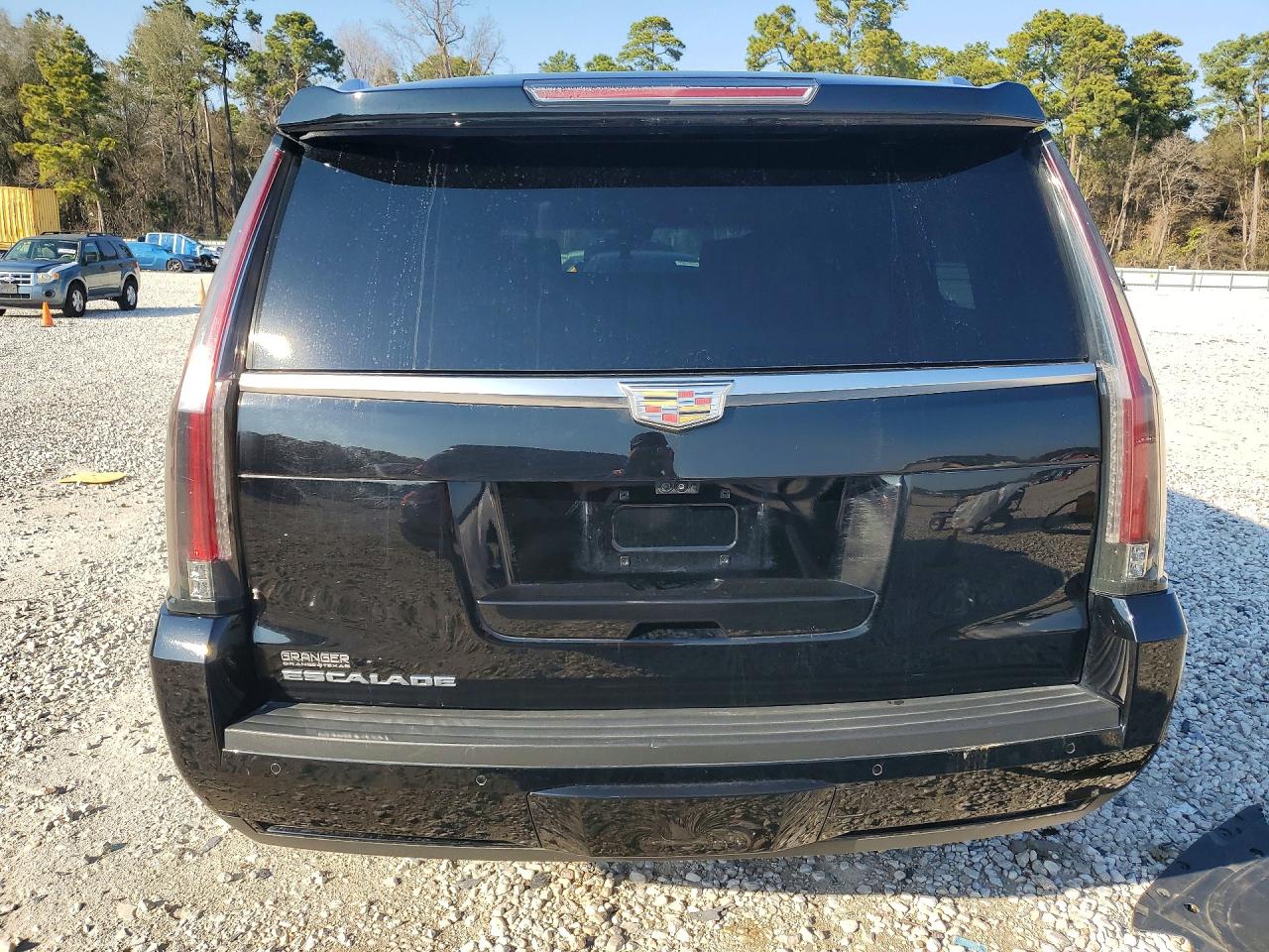2019 CADILLAC ESCALADE ESV PLATINUM photo 6