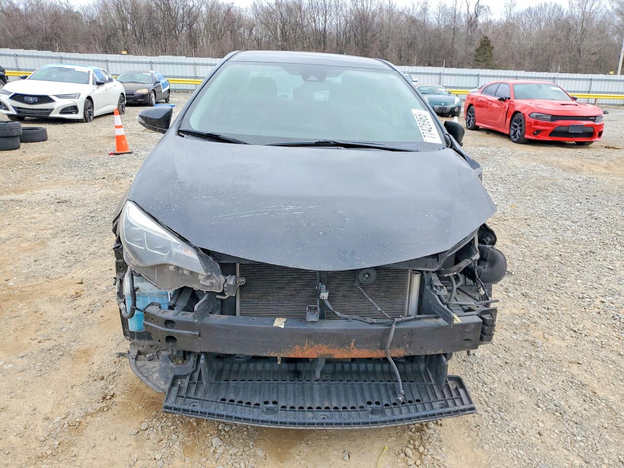 2019 TOYOTA COROLLA L photo 13