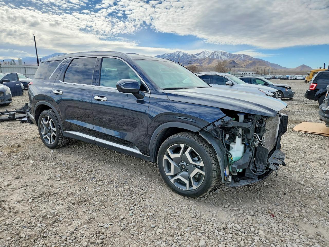 2024 HYUNDAI PALISADE SEL photo 7
