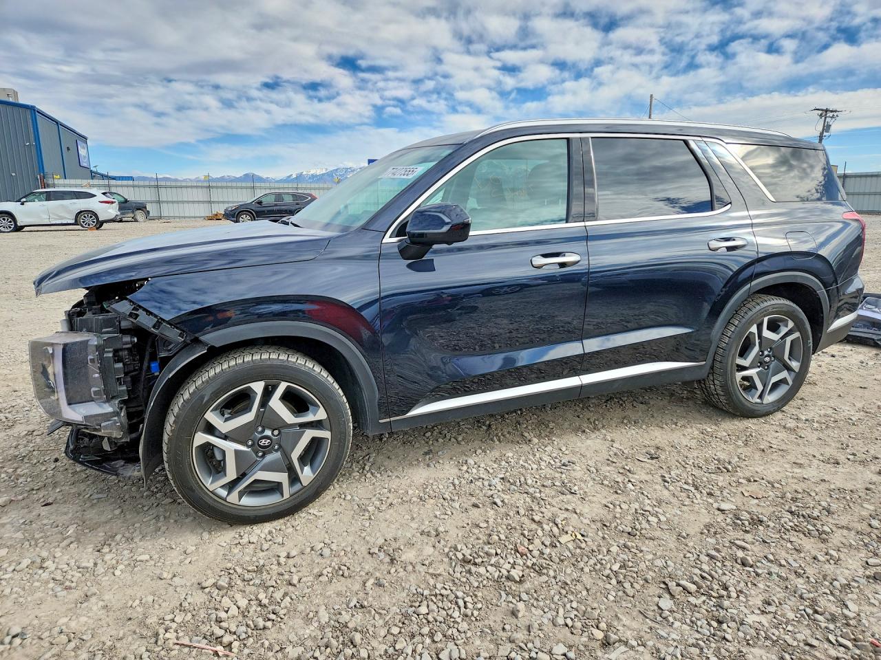 2024 HYUNDAI PALISADE
