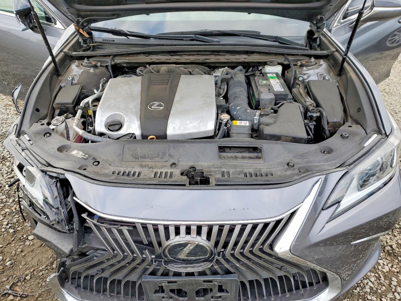 2019 LEXUS ES 350 photo 11