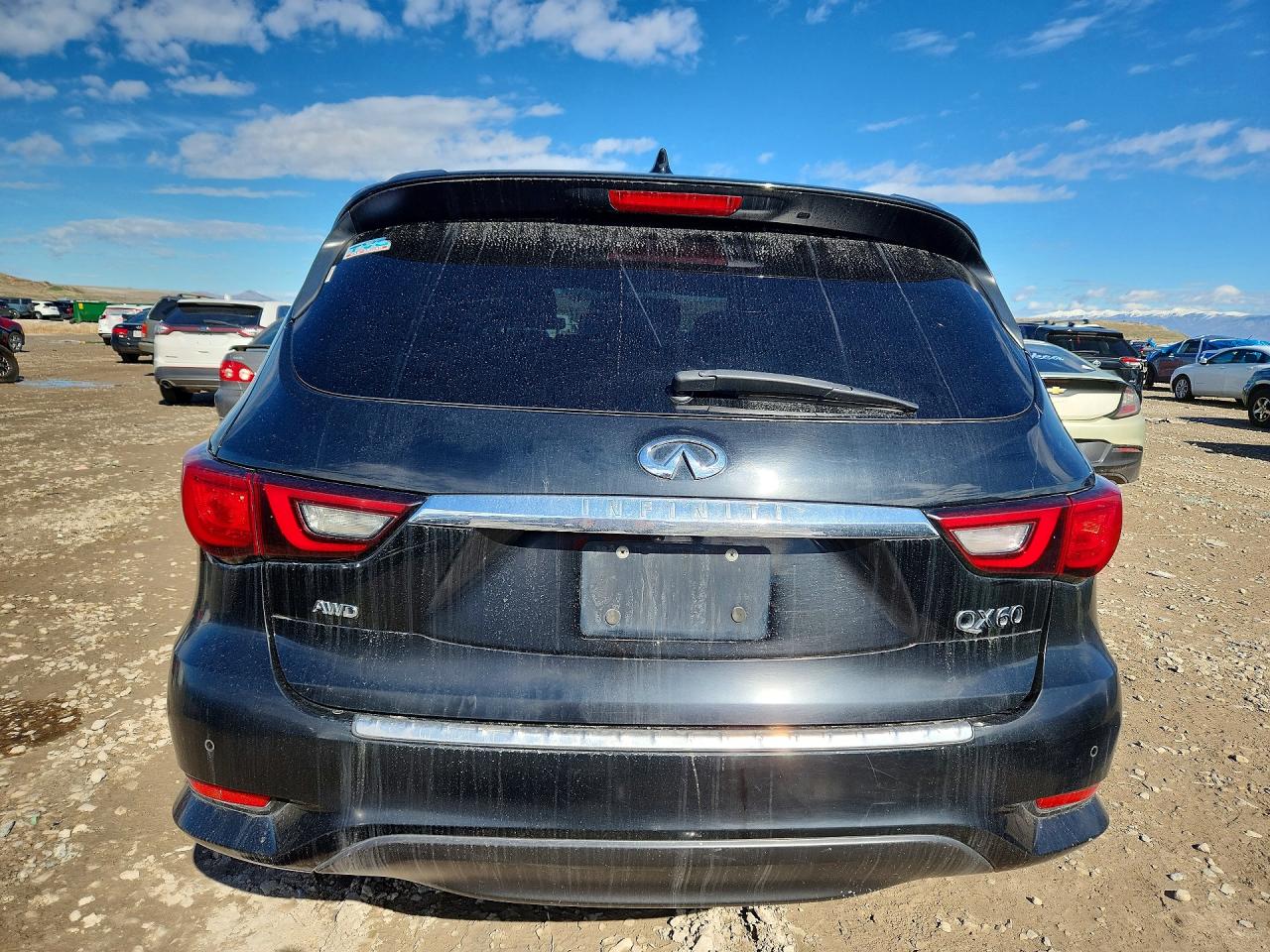 2020 INFINITI QX60 LUXE photo 6