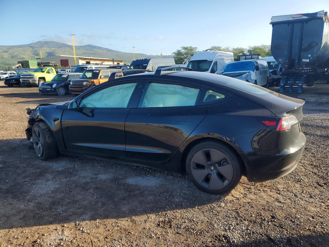 2021 TESLA MODEL 3 photo 3