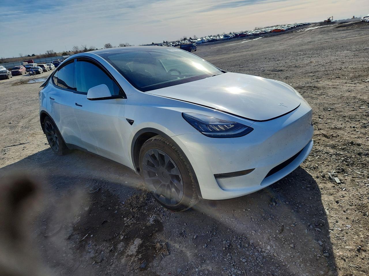 2021 TESLA MODEL Y photo 7