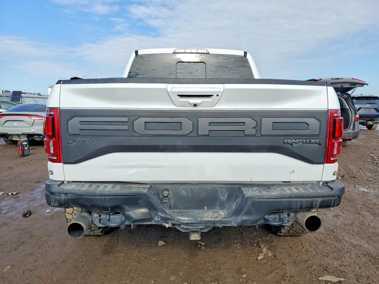 2020 FORD F150 RAPTOR photo 6