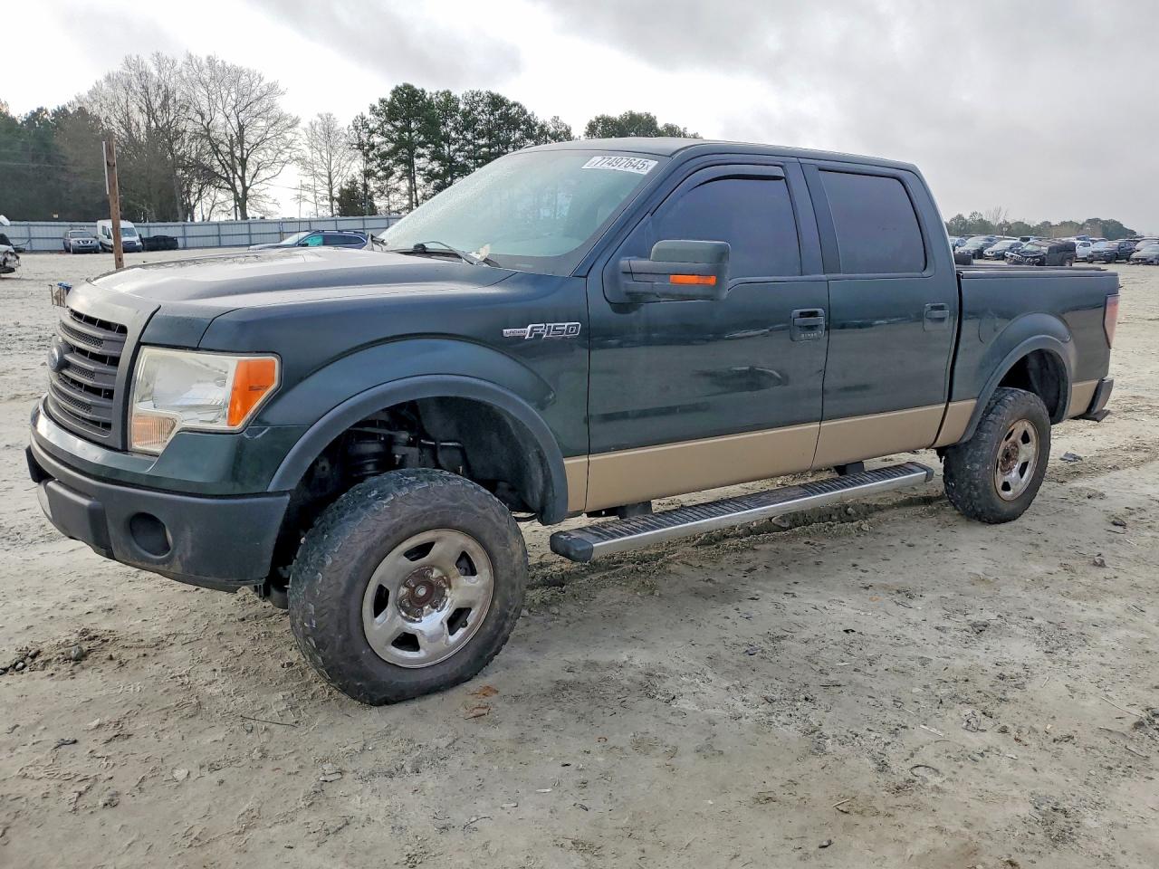2013 FORD F150