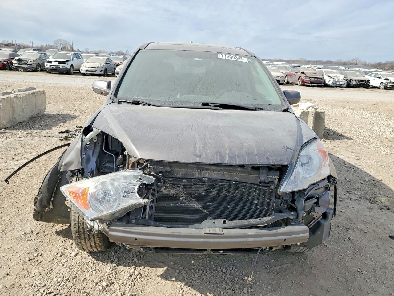 2010 HONDA CR-V EXL photo 9