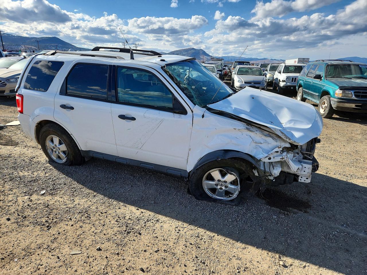 2010 FORD ESCAPE XLT photo 7