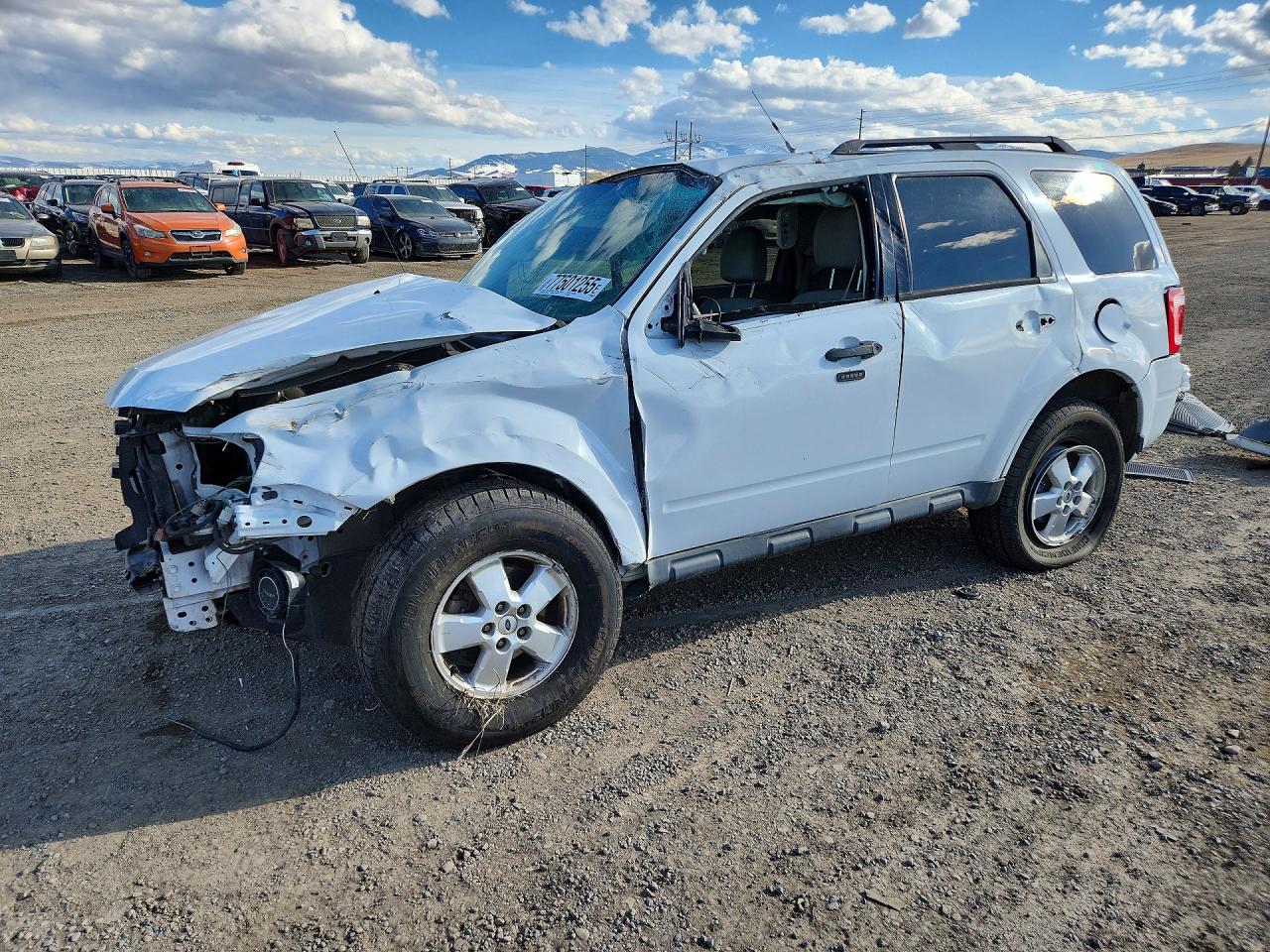 2010 FORD ESCAPE