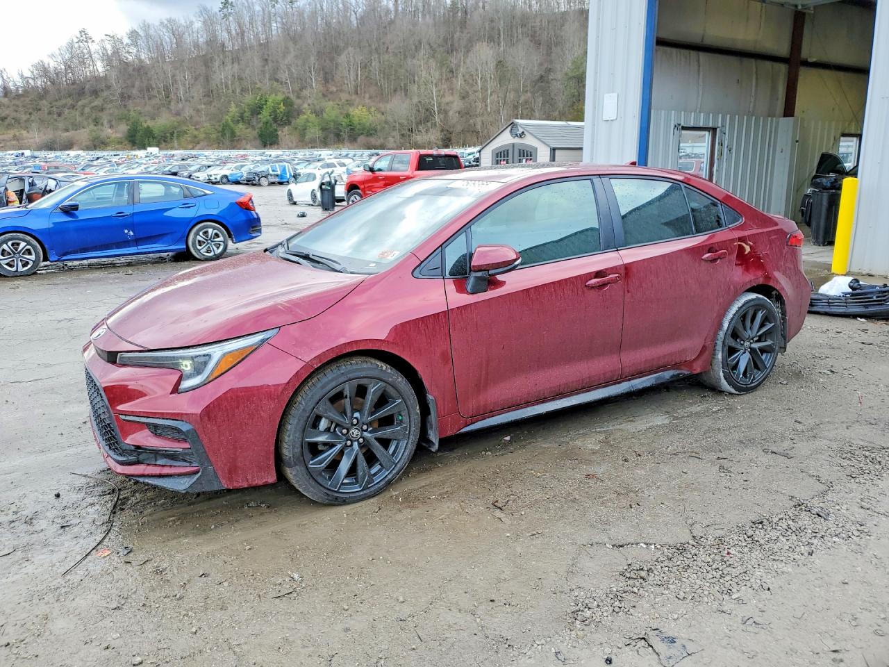 2025 TOYOTA COROLLA