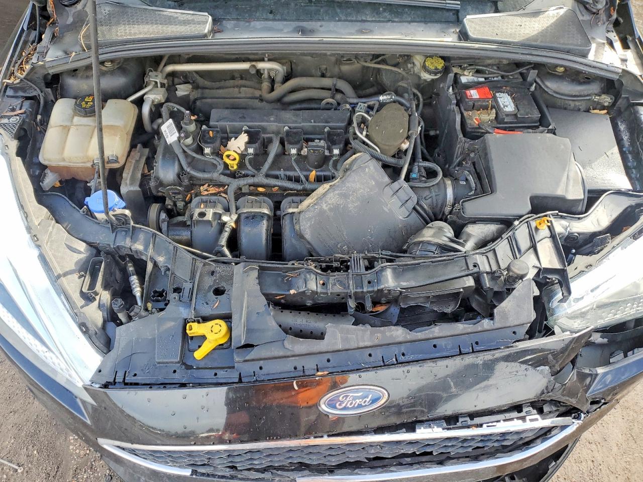 2015 FORD FOCUS SE photo 11