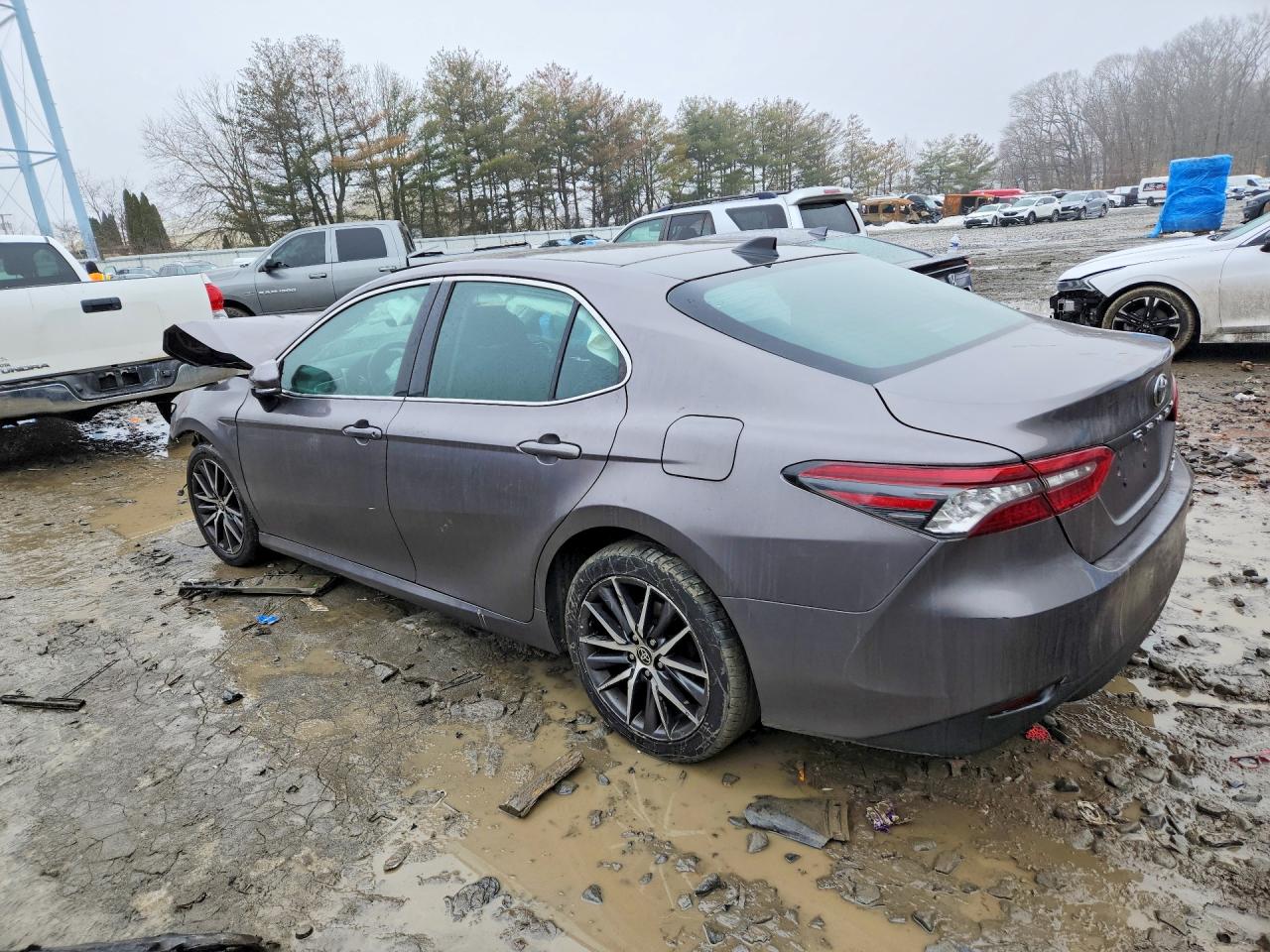 2021 TOYOTA CAMRY XLE photo 4