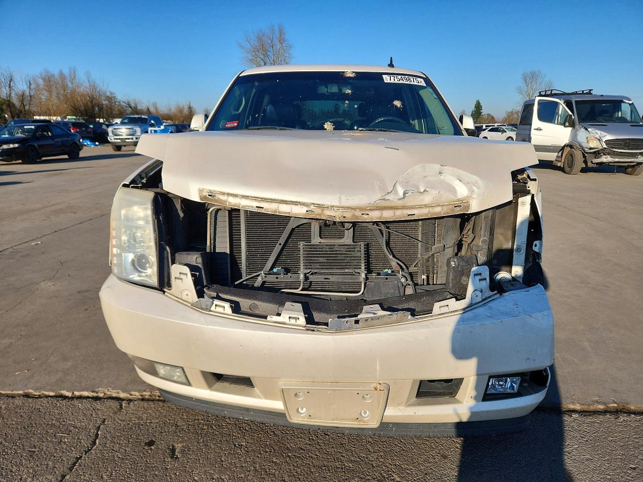 2007 CADILLAC ESCALADE LUXURY photo 9
