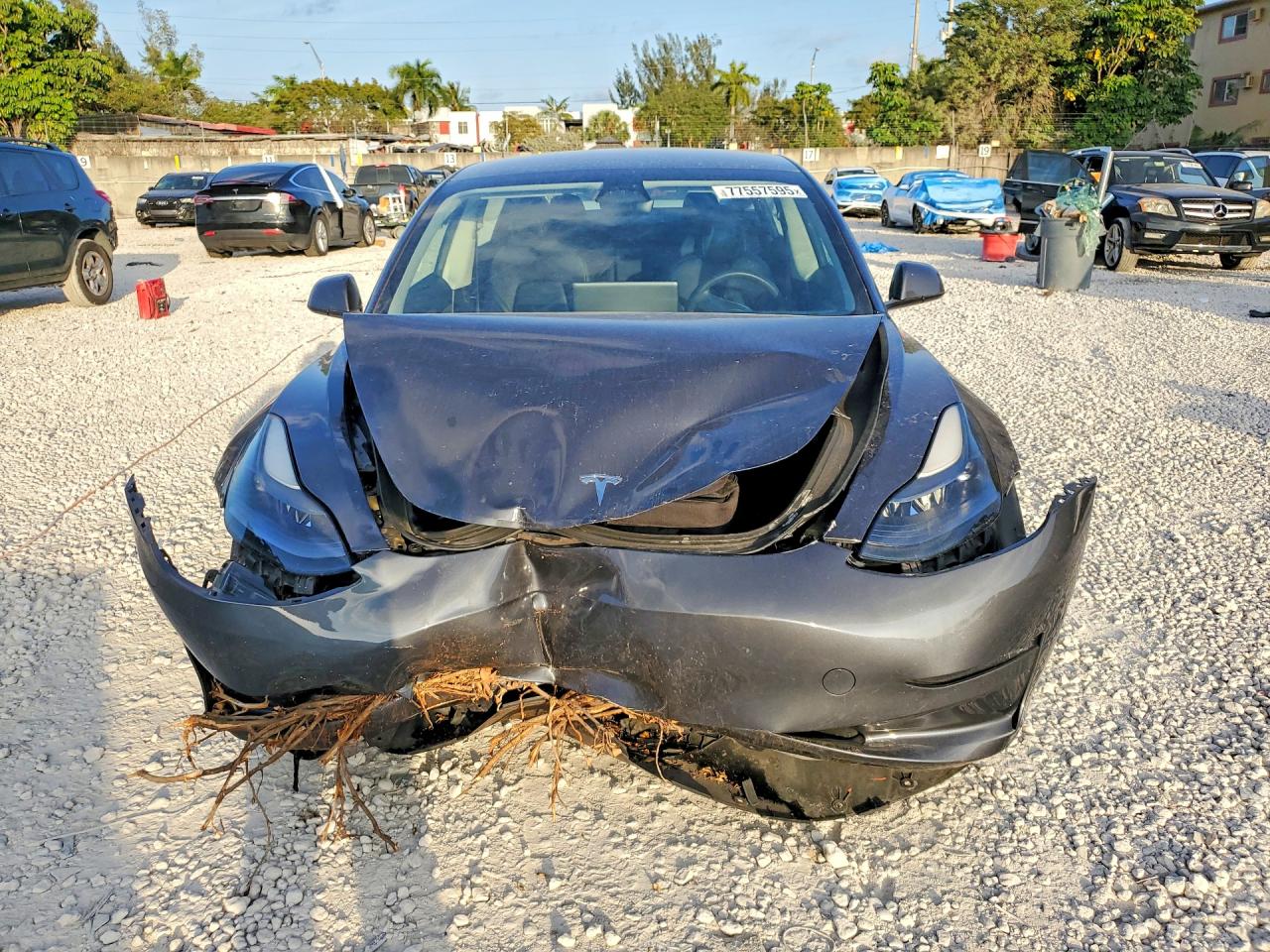 2023 TESLA MODEL 3 photo 9