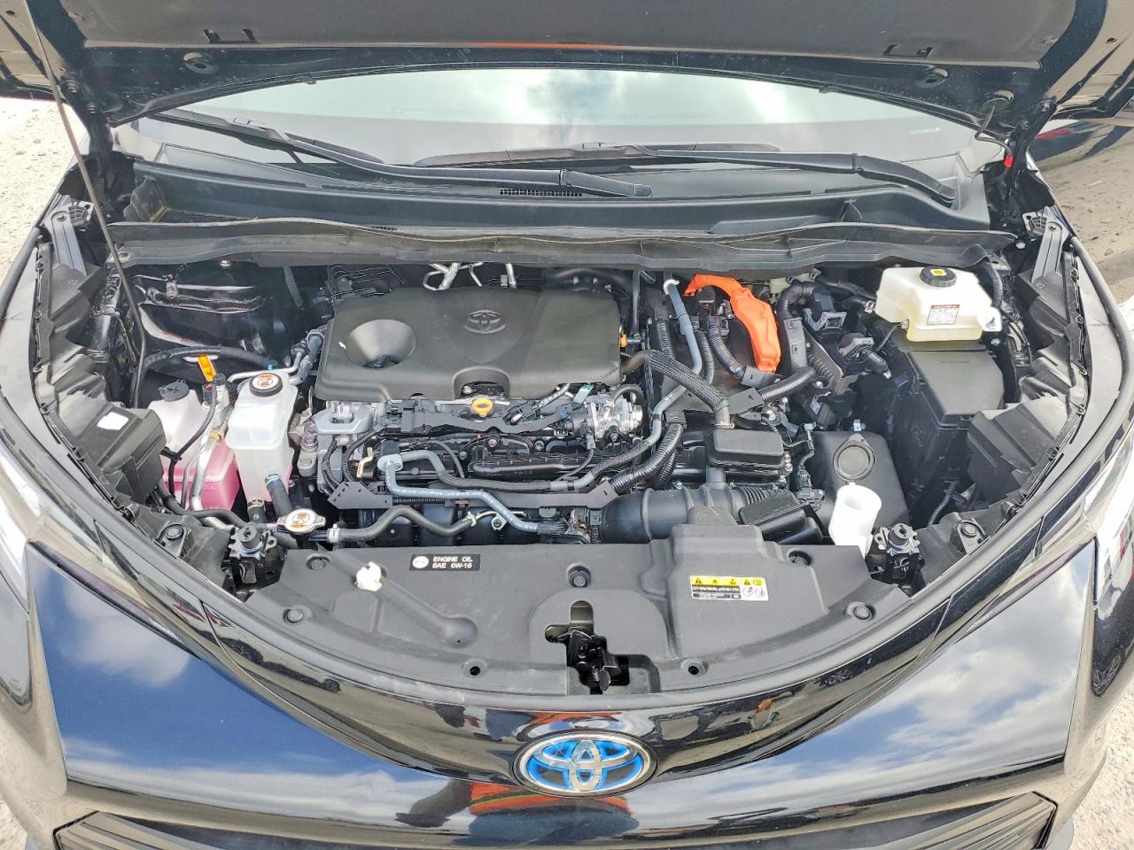 2025 TOYOTA SIENNA WOODLAND EDITION photo 12