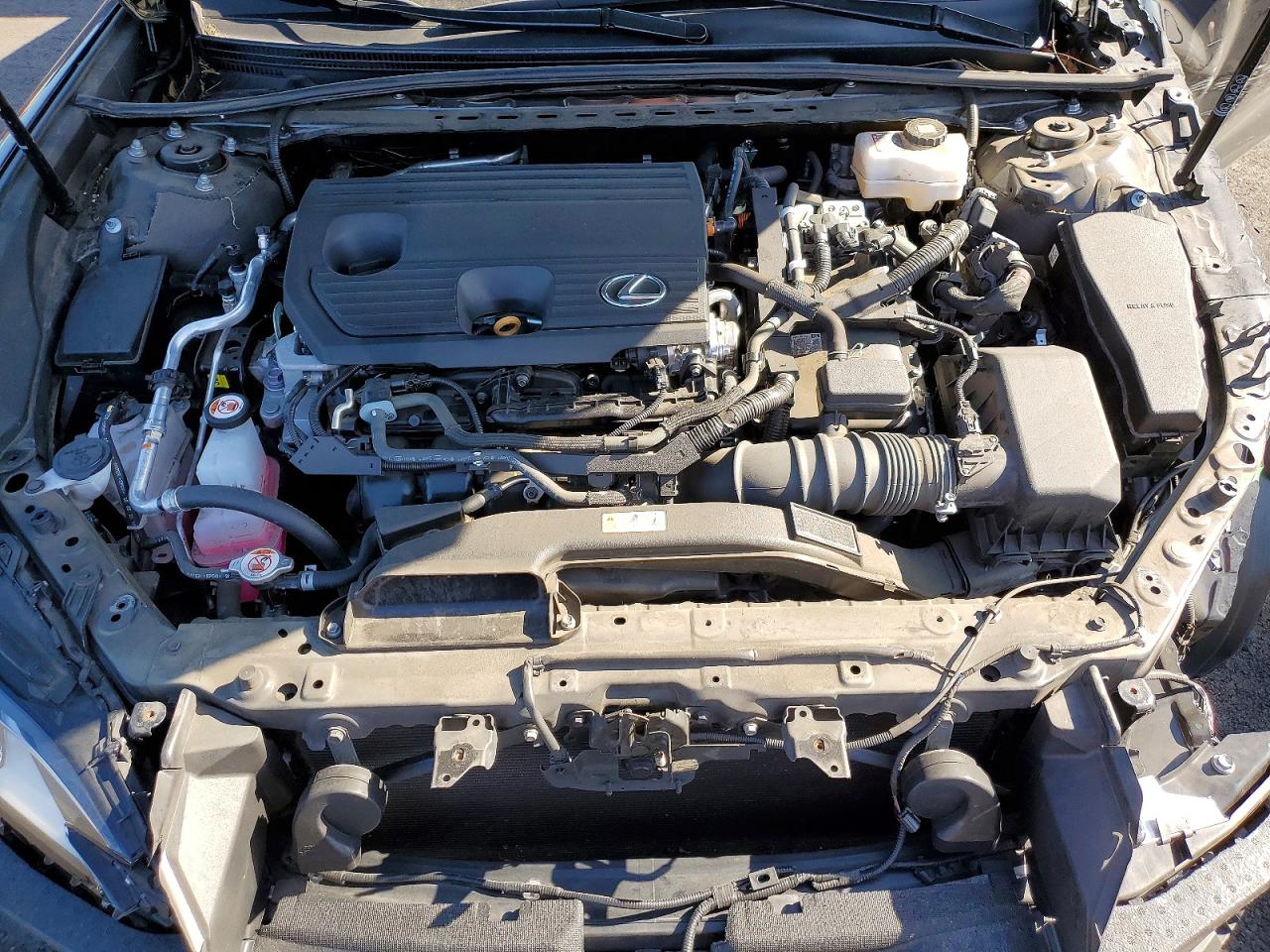 2024 LEXUS ES 300H BASE photo 11