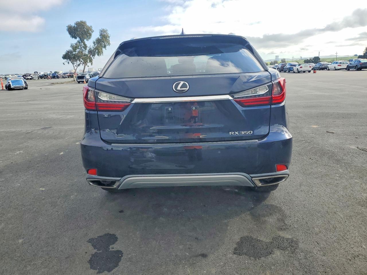 2020 LEXUS RX photo 11