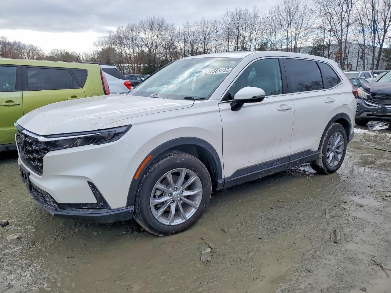 2025 HONDA CR-V