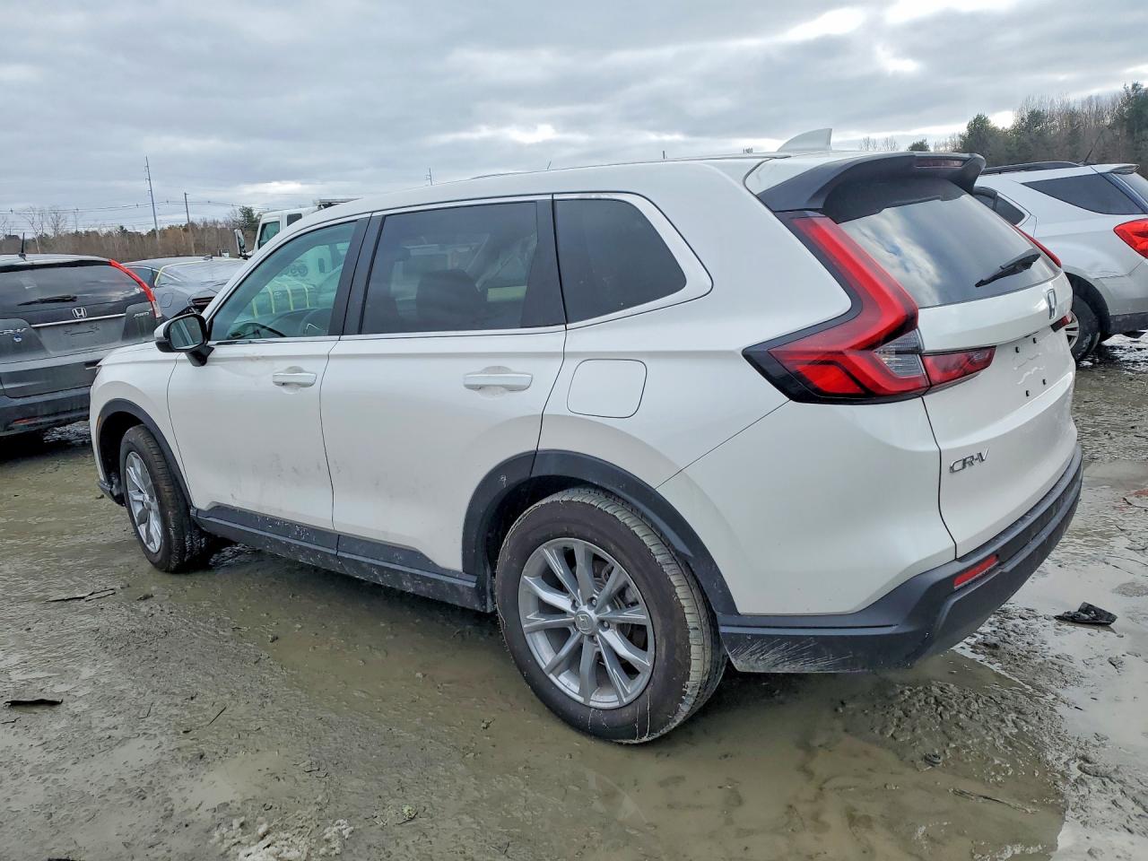 2025 HONDA CR-V EX photo 3