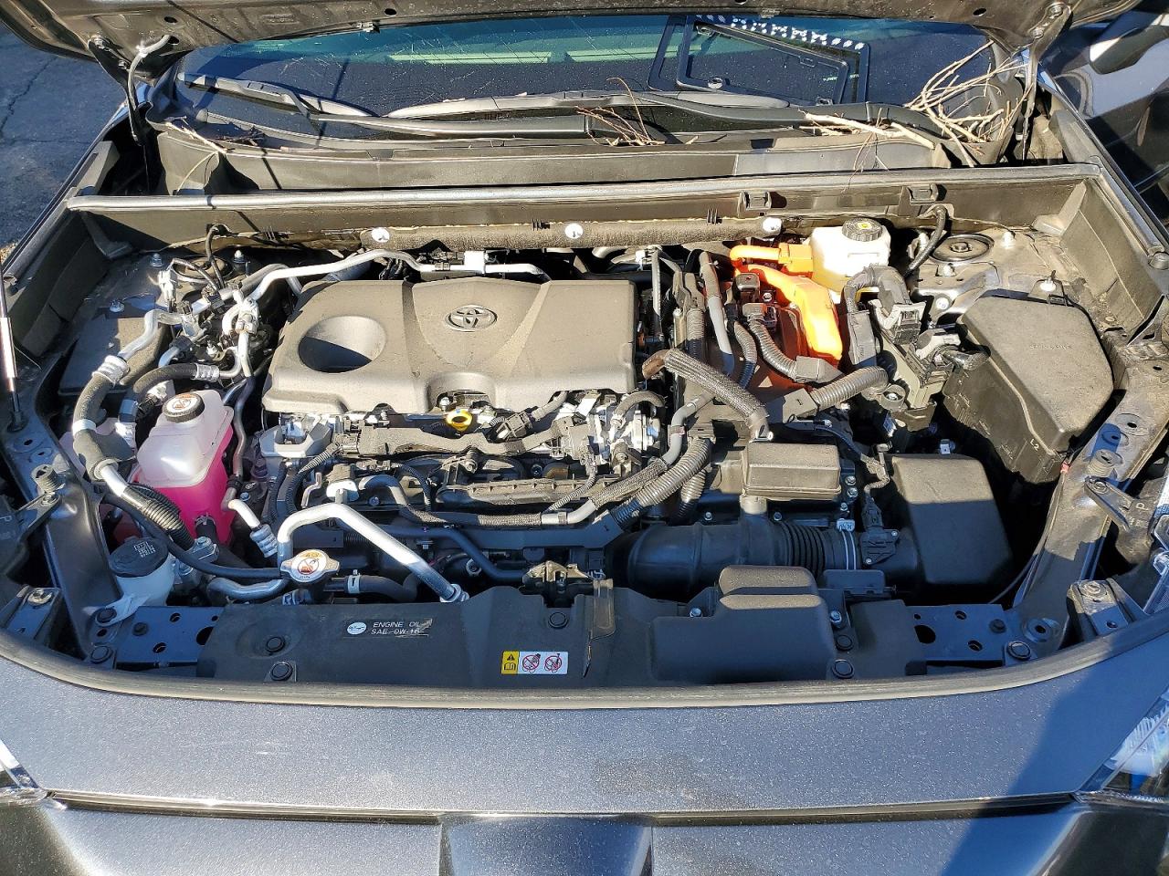 2025 TOYOTA RAV4 XSE photo 34