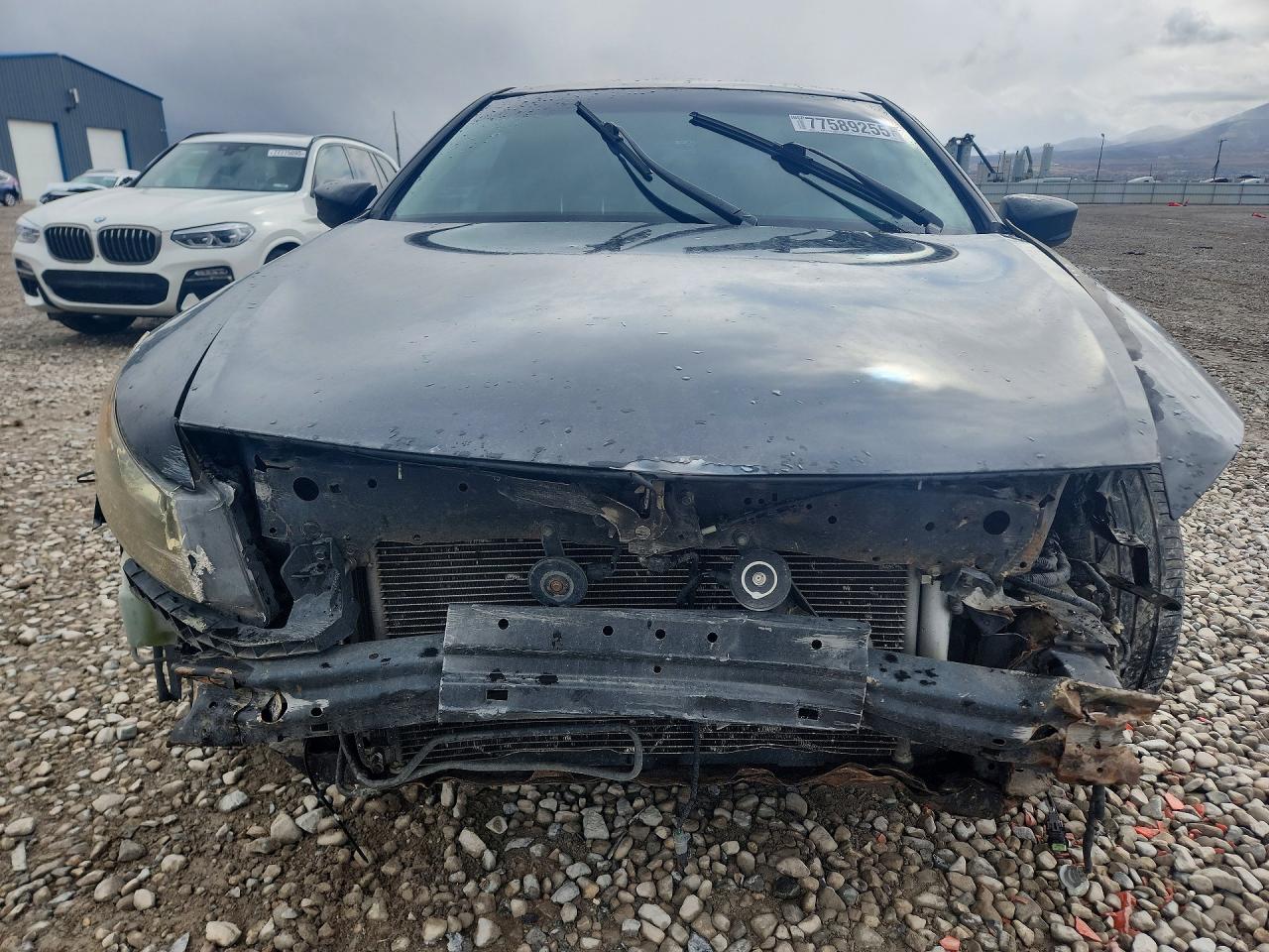 2010 HONDA ACCORD EXL photo 5