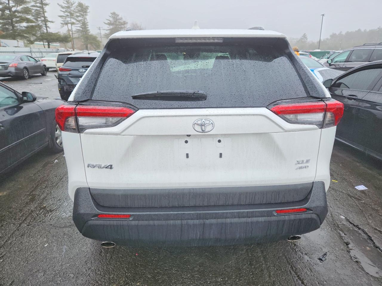 2025 TOYOTA RAV4 XLE photo 11