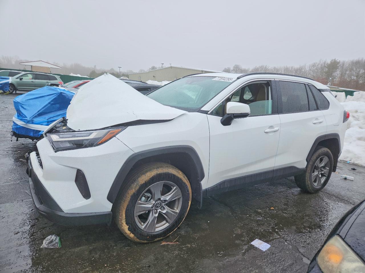 2025 TOYOTA RAV4