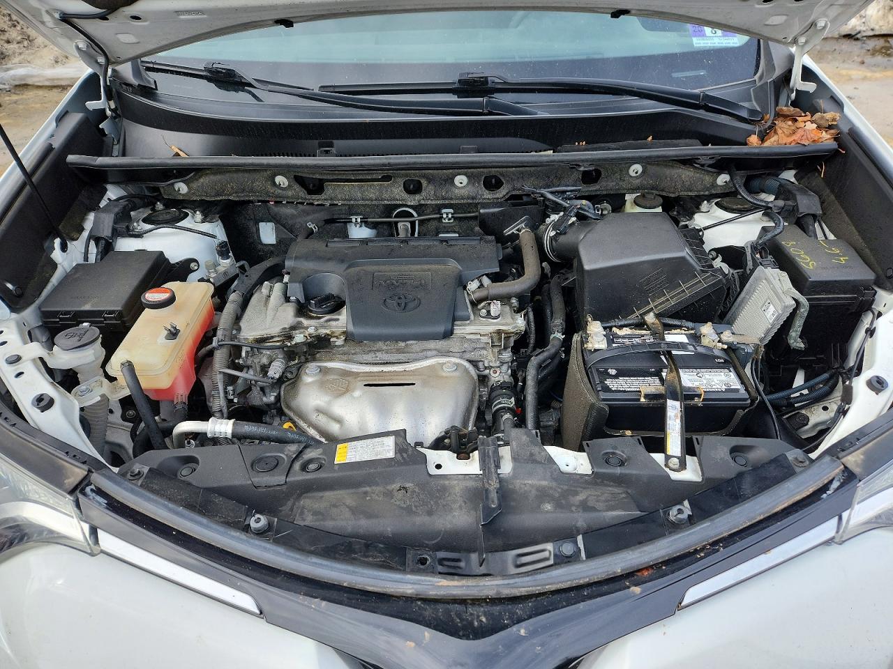 2016 TOYOTA RAV4 LE photo 12