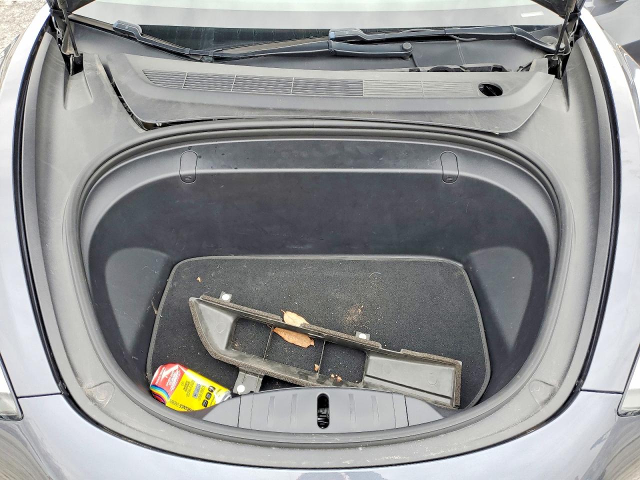 2019 TESLA MODEL 3 photo 11