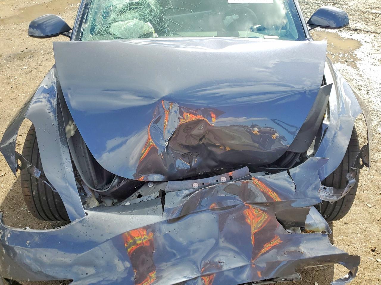 2023 TESLA MODEL 3 photo 21