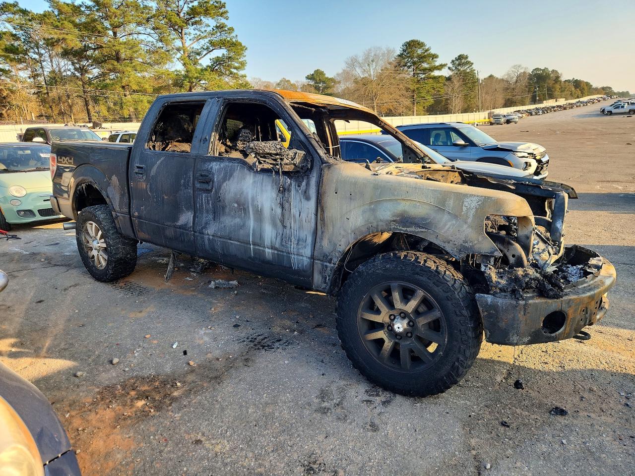2014 FORD F150 photo 10