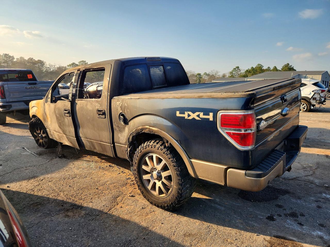 2014 FORD F150 photo 4