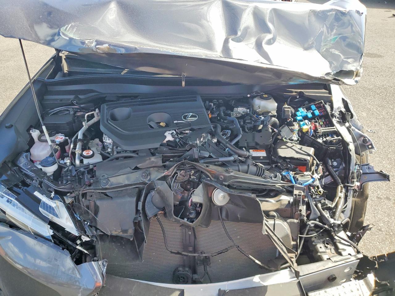 2025 LEXUS UX 300H BASE photo 12