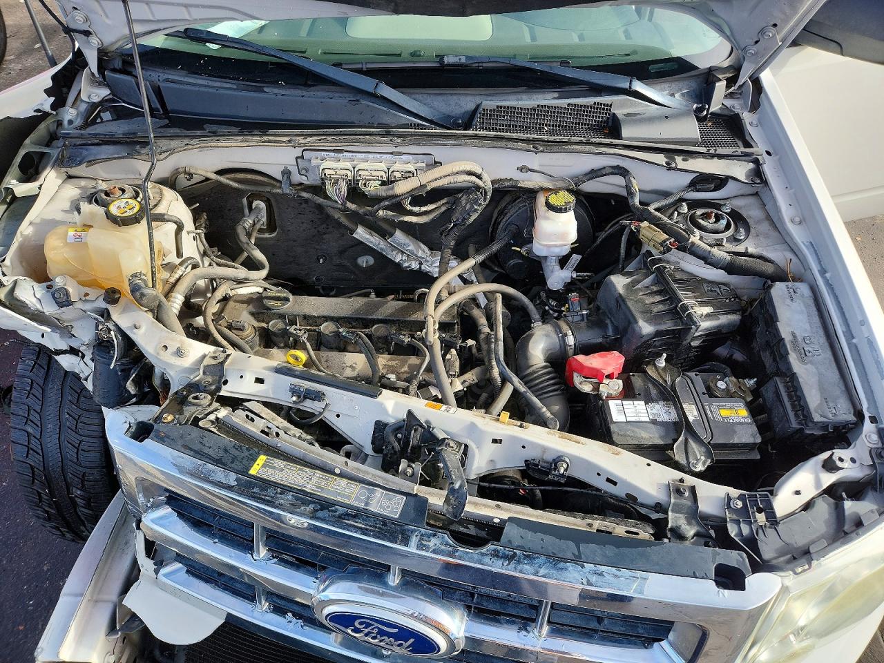 2011 FORD ESCAPE XLT photo 12