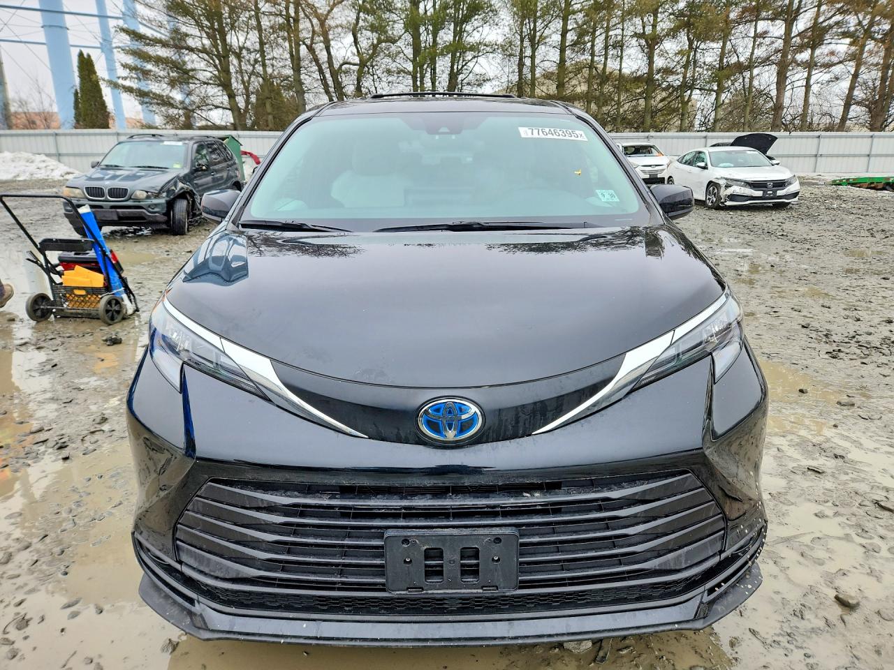 2025 TOYOTA SIENNA LE photo 5
