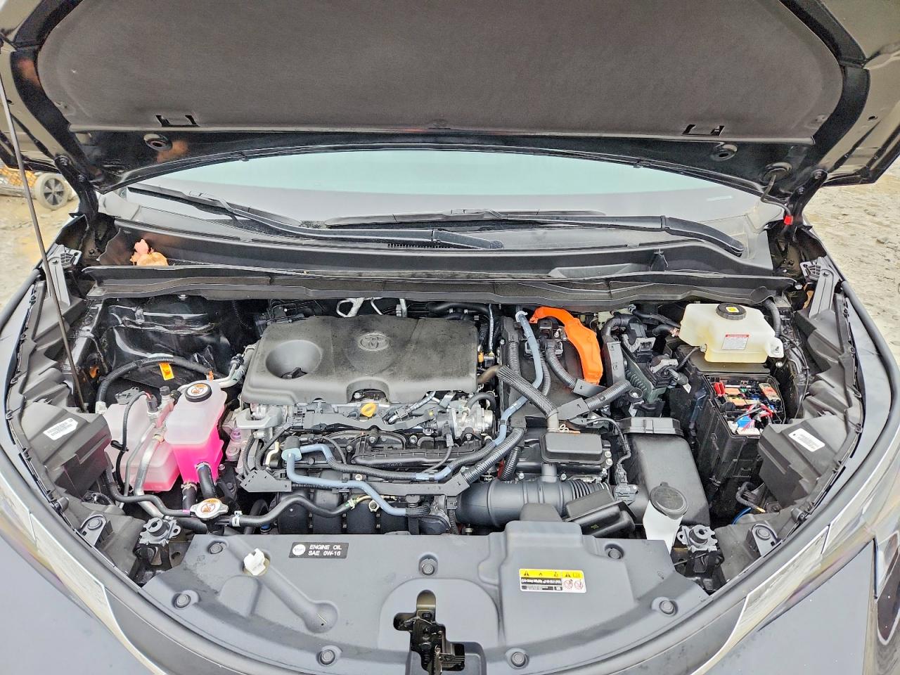 2025 TOYOTA SIENNA LE photo 12