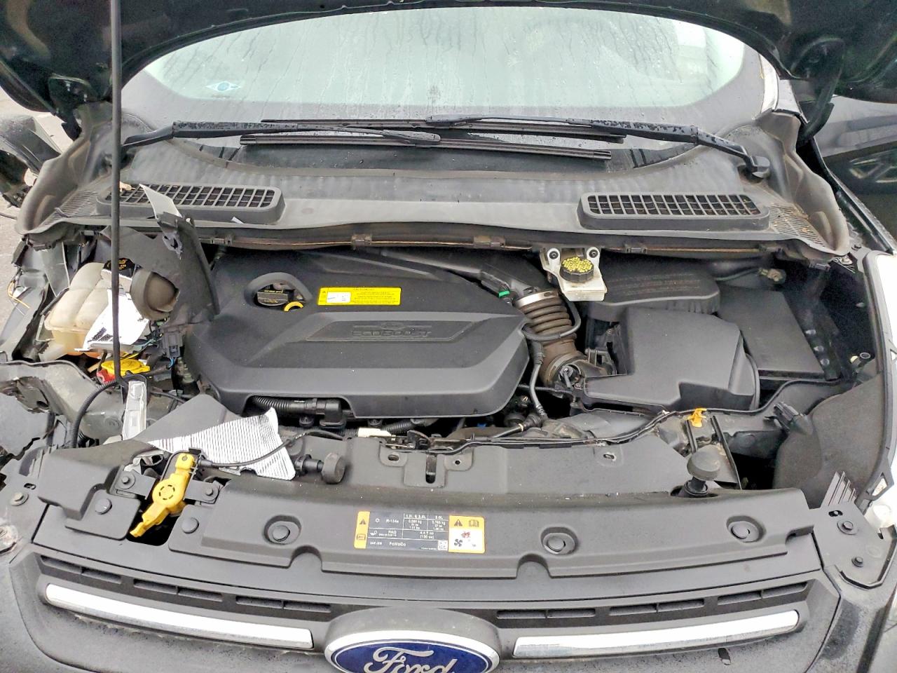 2015 FORD ESCAPE SE photo 23